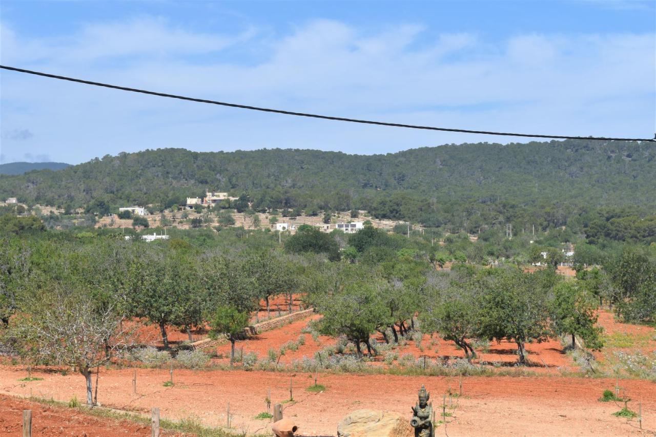 Agroturismo Sa Marina - Adults Only Villa Cala Boix Exteriör bild